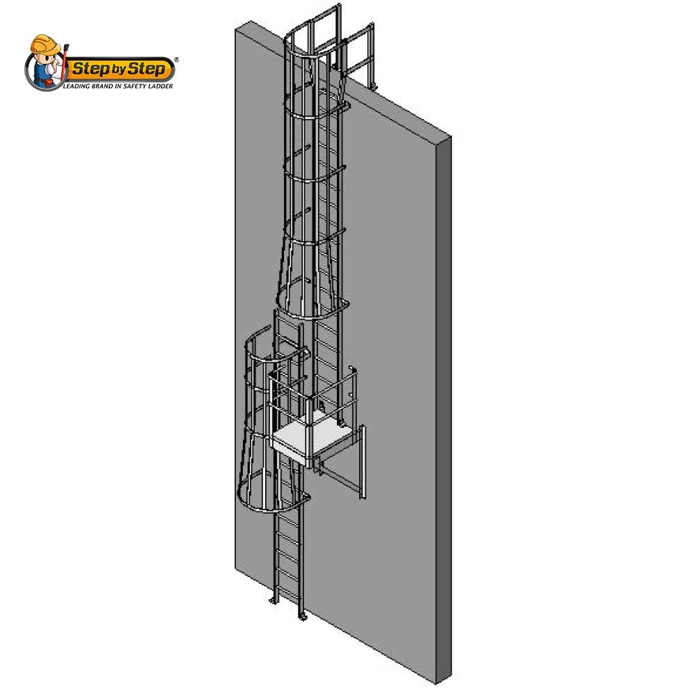 Cat Ladder Company Malaysia | Roof Access Safety Cage Ladder